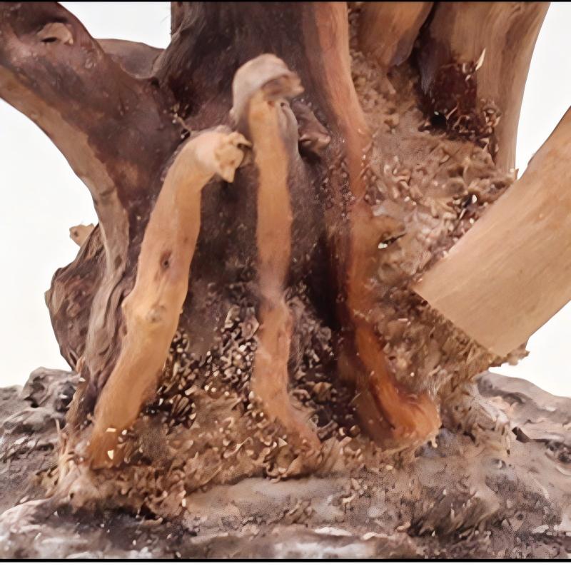 1 шт. аквариум, ландшафтные де – обзор и цена Aquarium Planted Wood