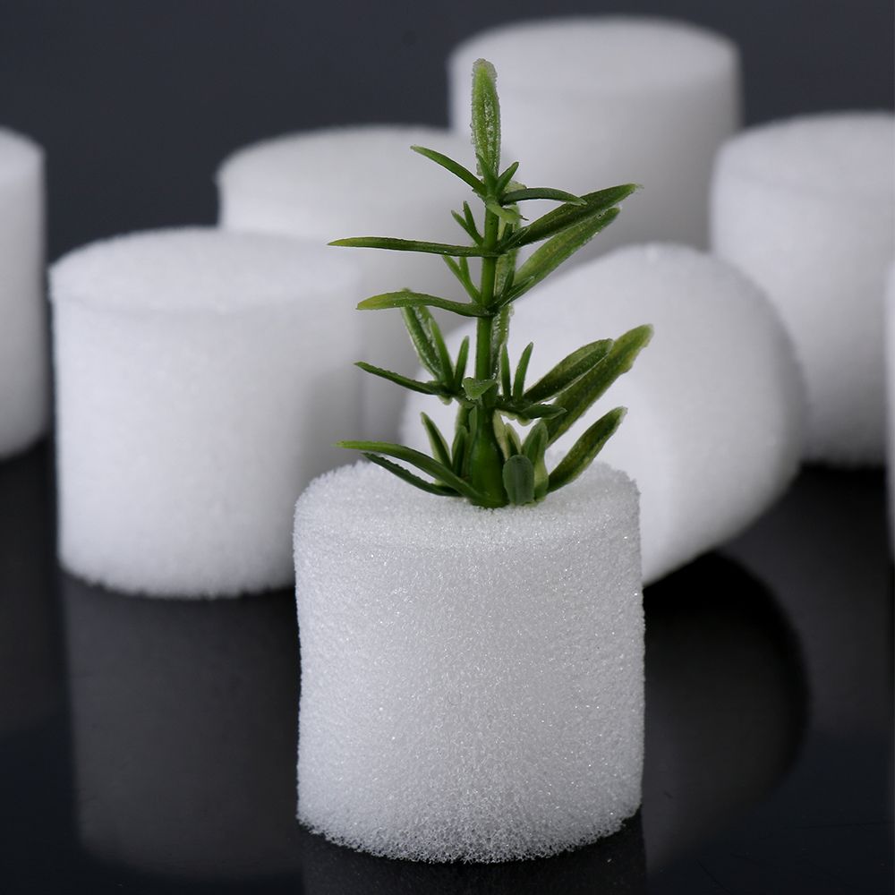 10/50 шт., губки для выращиван – обзор и цена Aquarium Plant Seeds