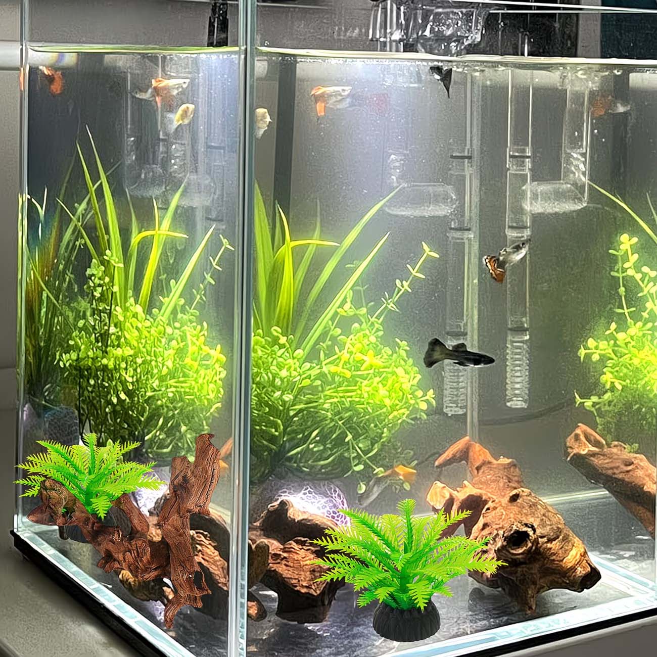 Натуральная тонущая коряга 5-1 – обзор и цена Aquarium Planted Wood