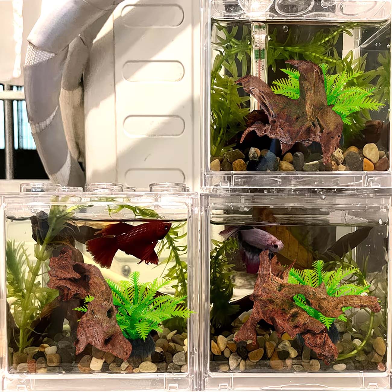 Натуральная тонущая коряга 5-1 – обзор и цена Aquarium Planted Wood