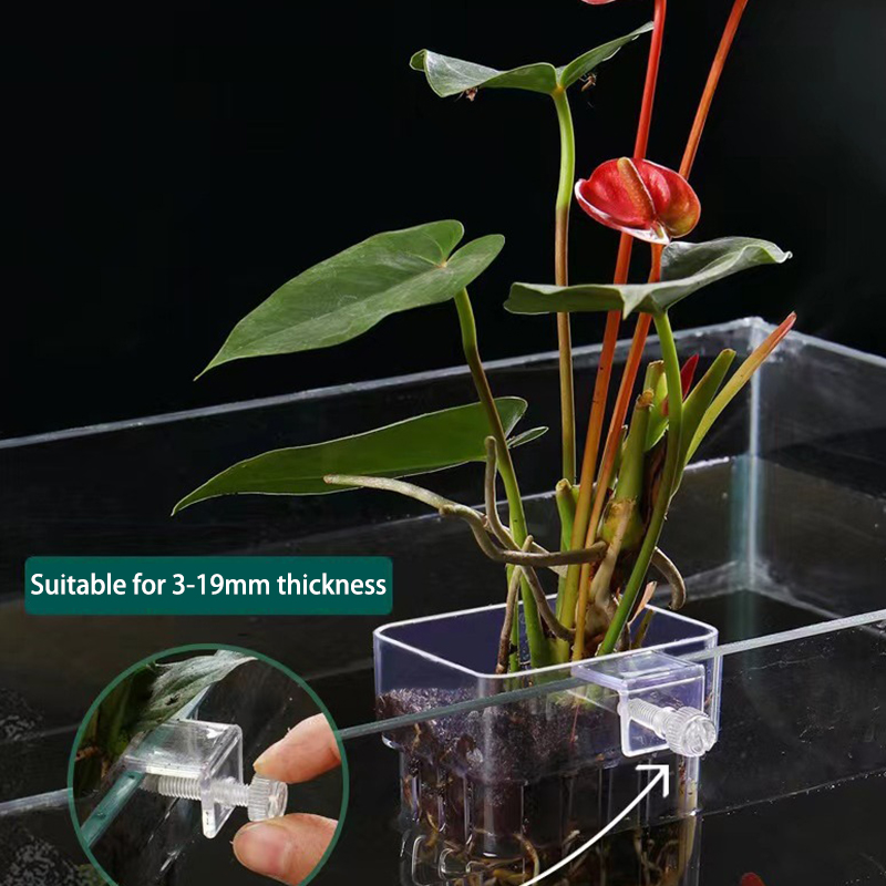 Многофункциональная коробка дл – обзор и цена Aquarium Plant Grass