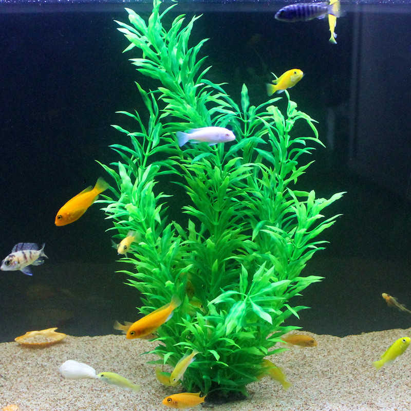50 см искусственный аквариум р – обзор и цена Aquarium Plant Grass