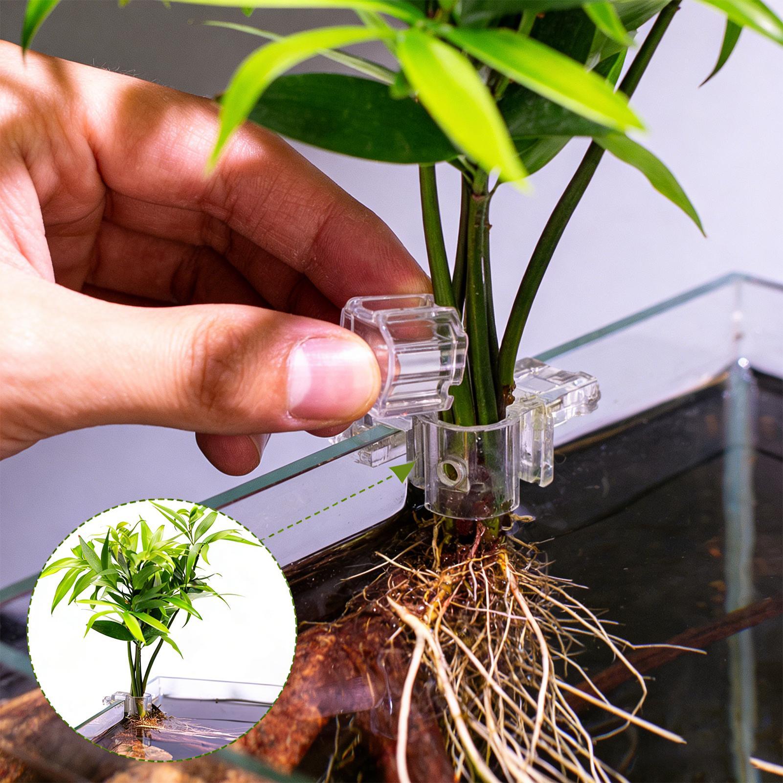 Держатели для растений для акв – обзор и цена Aquarium Plant Live