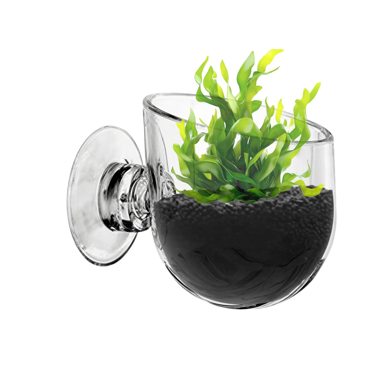 Держатель для аквариумных раст – обзор и цена Aquarium Planted Background