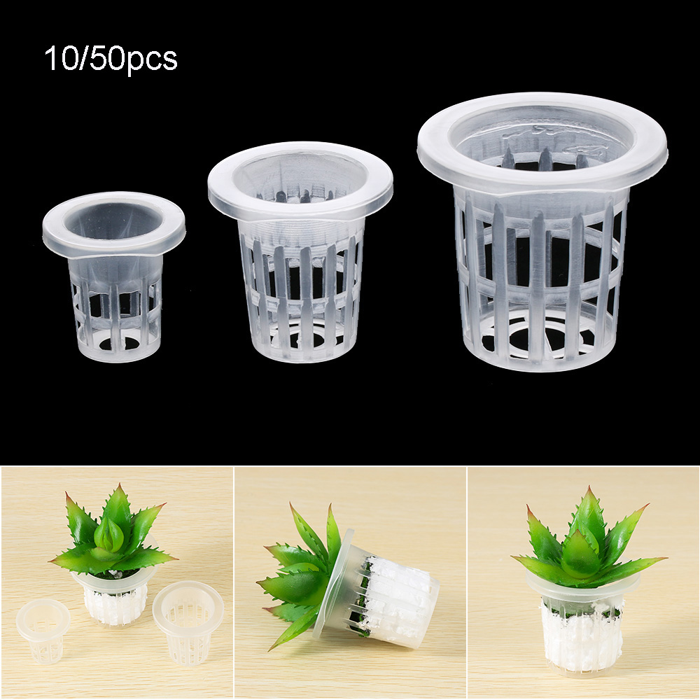 10/50 шт. прочные посадочные а – обзор и цена Aquarium Planted Seeds