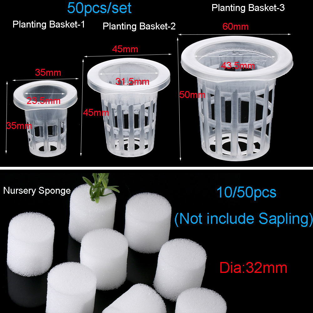 10/50 шт. прочные посадочные а – обзор и цена Aquarium Planted Seeds