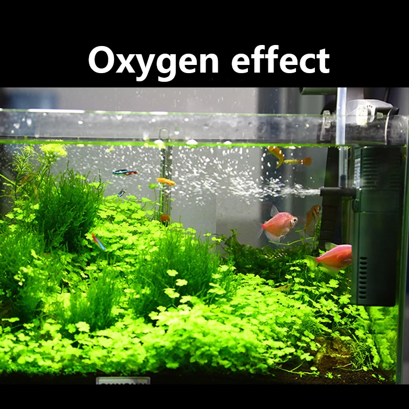 SUNSUN mini nano 111B 311B 611 – обзор и цена Planted Aquarium Mini