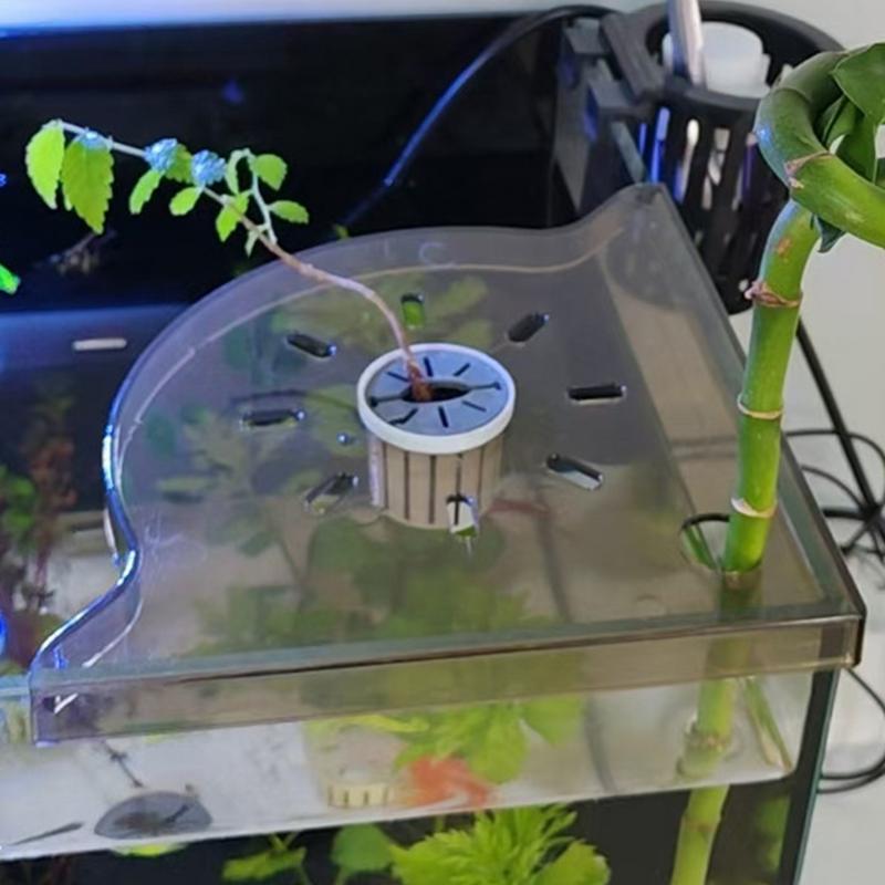 Угловая полка для аквариума, с – обзор и цена Aquarium Planted Seeds