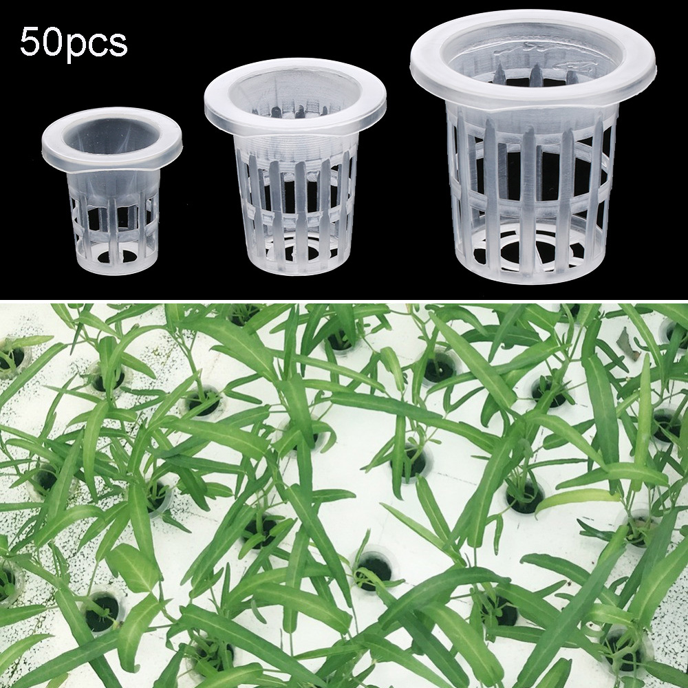 10/50 шт. садовые принадлежнос – обзор и цена Aquarium Planted Seeds